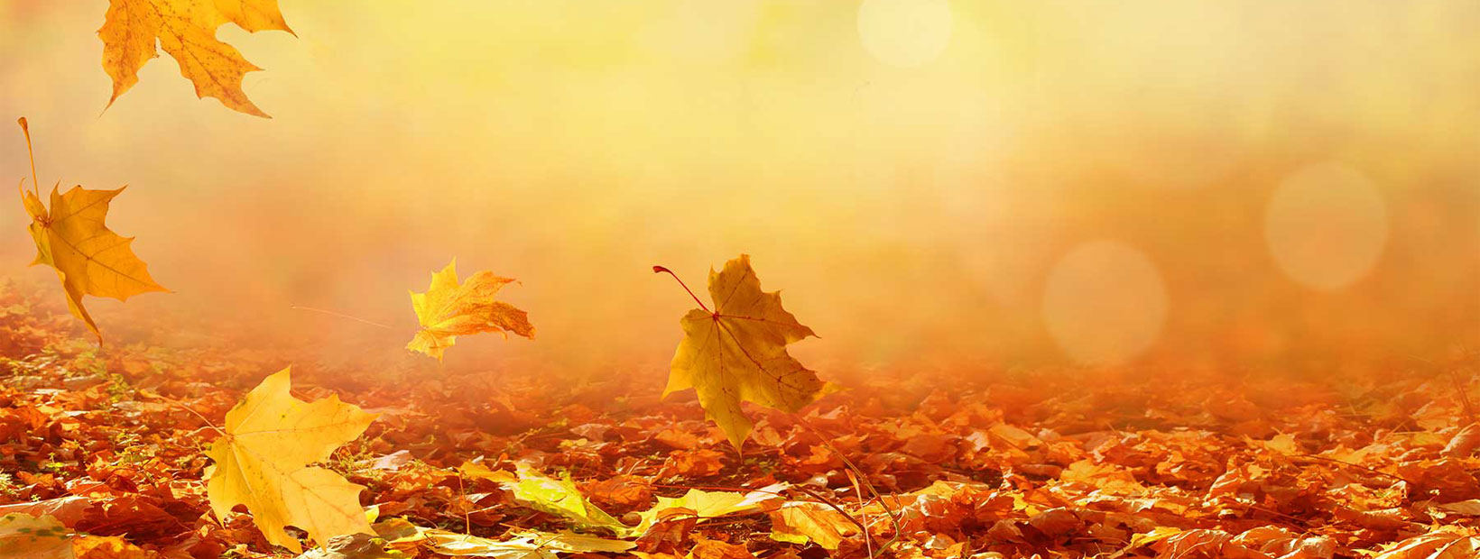 oktober2020-hintergrund